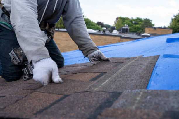 Best Roof Waterproofing Services  in Marlborough, MO